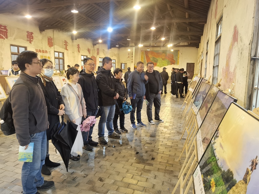 问鼎娱乐